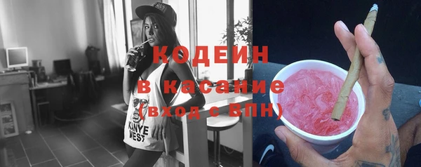 шишки Богородицк