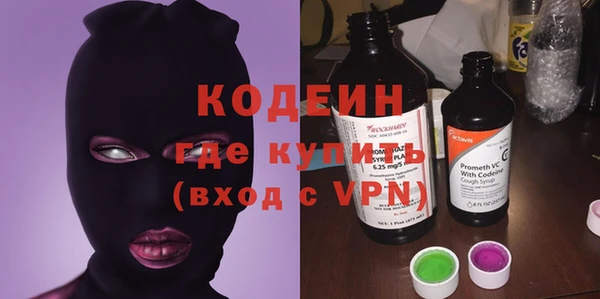 шишки Богородицк