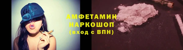 шишки Богородицк