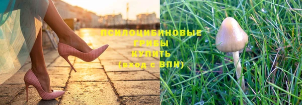 трава Белоозёрский