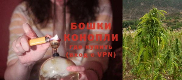 шишки Богородицк