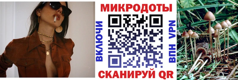 Галлюциногенные грибы Psilocybe  Белоусово 